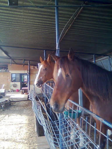 Yarok Az - Ecolodge Farm Ilaniya Kültér fotó