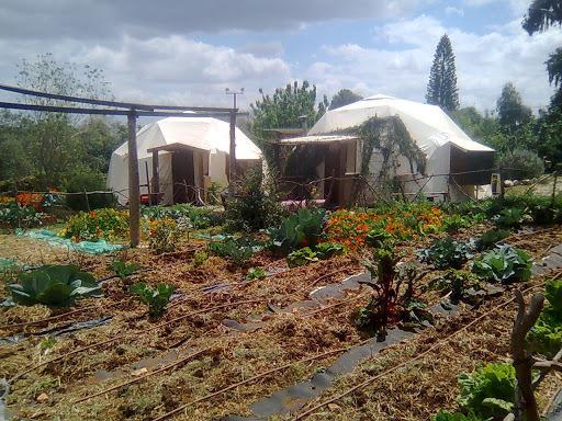 Yarok Az - Ecolodge Farm Ilaniya Kültér fotó