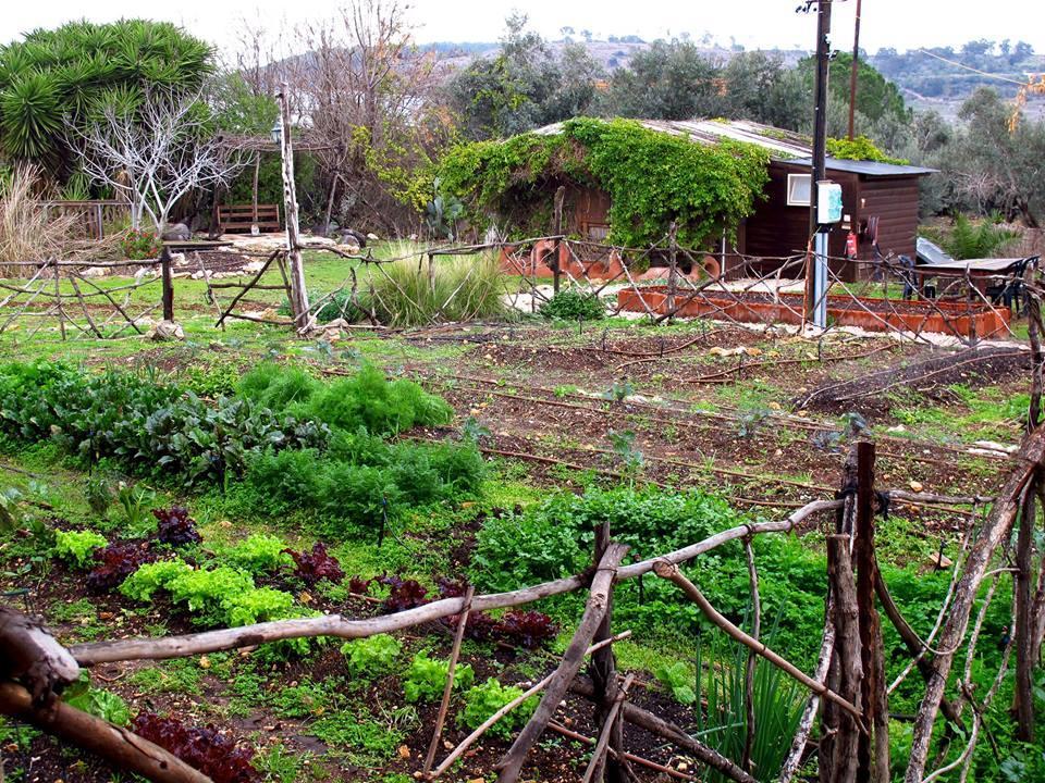 Yarok Az - Ecolodge Farm Ilaniya Kültér fotó